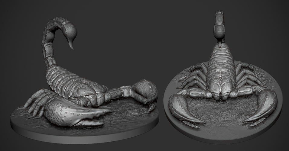 Scorpion 3D Print Model 3D Print 175757 Scorpion 3D Print Model 3D Print 175757