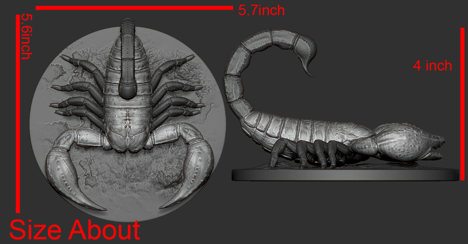 Scorpion 3D Print Model 3D Print 176652 Scorpion 3D Print Model 3D Print 176652