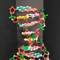 Building a DNA chain - Thumbnail 3