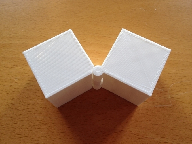 Two Hinged Boxes 3D Print 180023