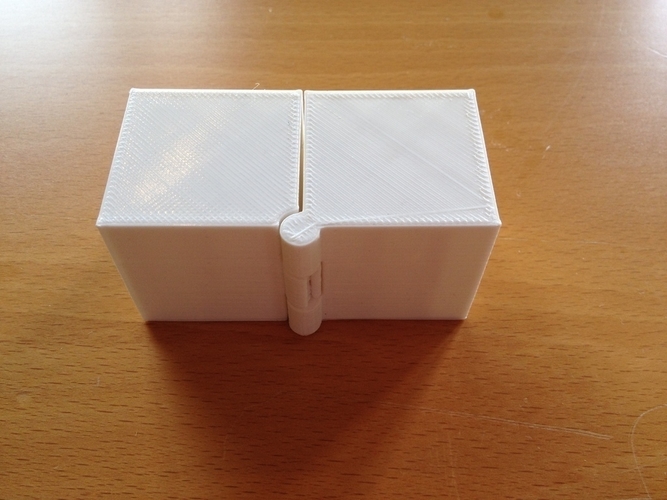 Two Hinged Boxes 3D Print 180026