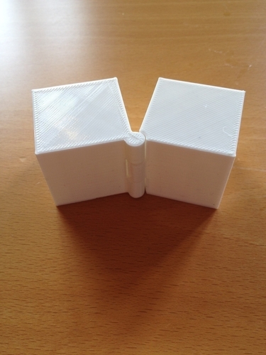 Two Hinged Boxes 3D Print 180027