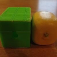 Small Squareish Lemon Mold 3D Printing 180056