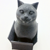 Small Schrodinky! British Shorthair Cat Sitting In A Box 3D Printing 180413