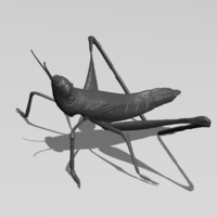 Small Cricket 3D Printing 181407
