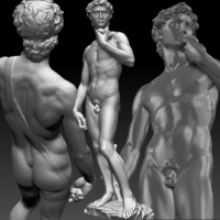Small David by Michelangelo statue 3D Printing 181667