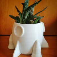 Small trio of small pots for succulents 3D Printing 183612