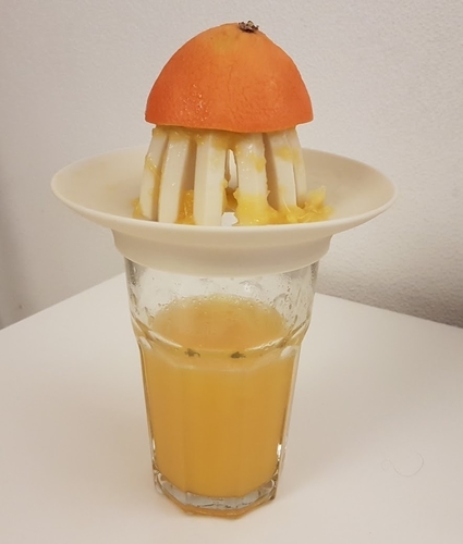 IKEA Pokal Set Top Citrus Juicer 3D Print 184021 IKEA Pokal Set Top Citrus Juicer 3D Print 184021