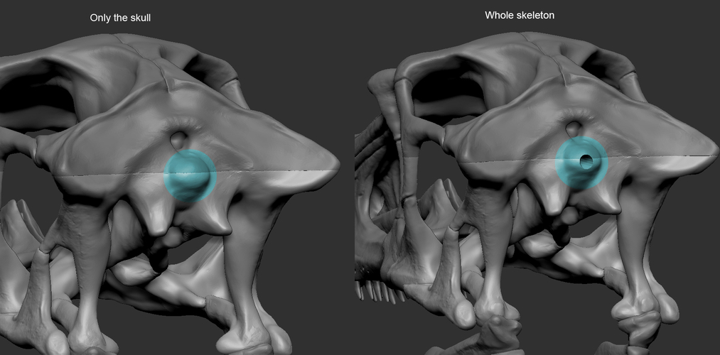 Full size Velociraptor skull 3D Print 184866 Full size Velociraptor skull 3D Print 184866
