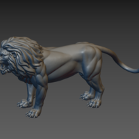 Lion - Thumbnail 4
