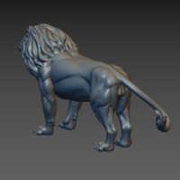 Lion - Thumbnail 5