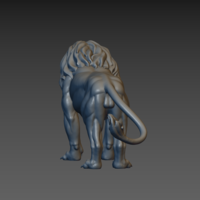 Lion - Thumbnail 6