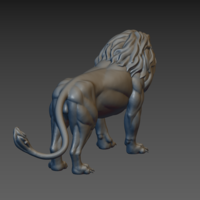 Lion - Thumbnail 7