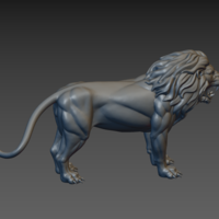 Lion - Thumbnail 8
