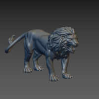 Lion - Thumbnail 9