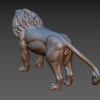 Lion - Thumbnail 13