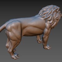 Lion - Thumbnail 14
