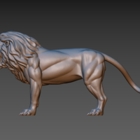 Lion - Thumbnail 17