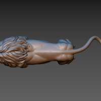 Lion - Thumbnail 20