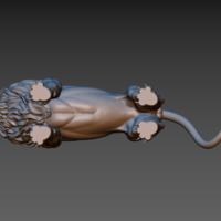 Lion - Thumbnail 21