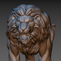 Lion - Thumbnail 22