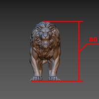 Lion - Thumbnail 23