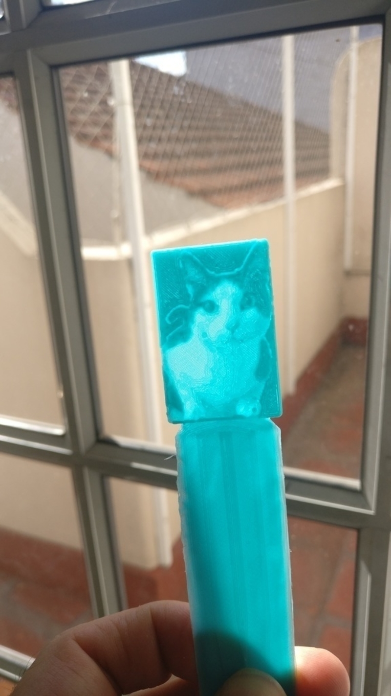 Cat lythophane bookmark