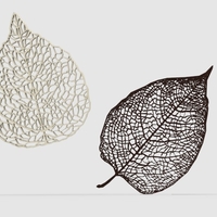 Small Leaf Veins System 3D Printing 190629