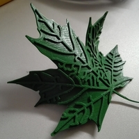 Small Maple Leaf  3D Printing 190632