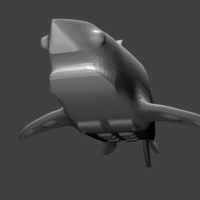 Small Strong Shark!!! 3D Printing 196373