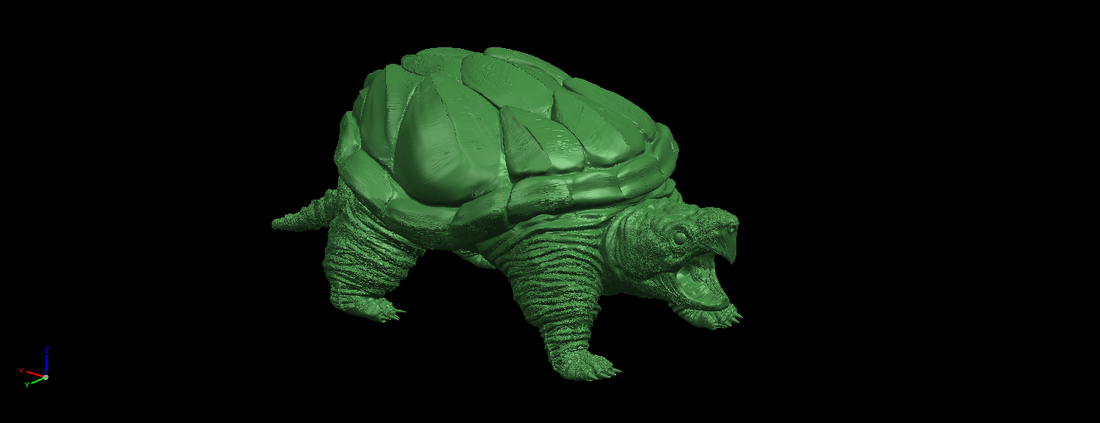 Giant tortoise 3D Print 197374
