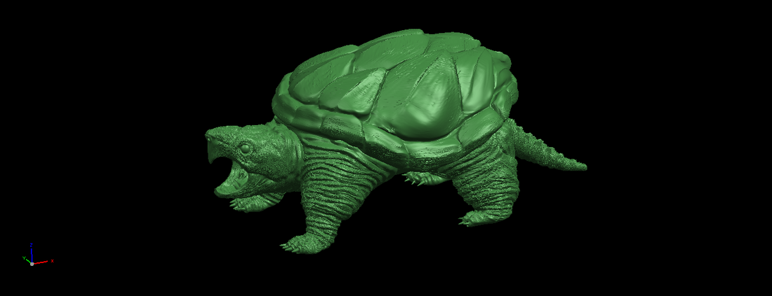 Giant tortoise 3D Print 197375