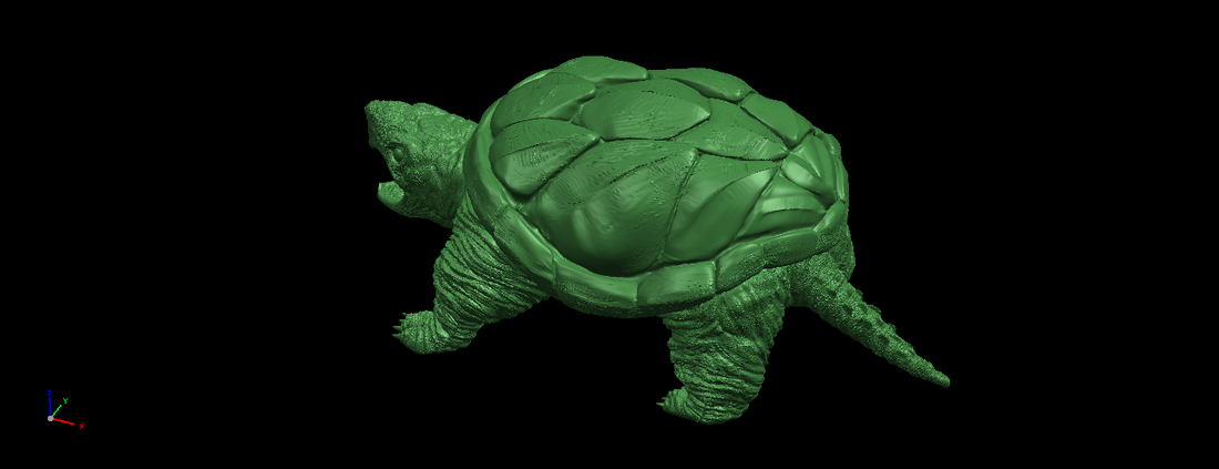 Giant tortoise 3D Print 197376