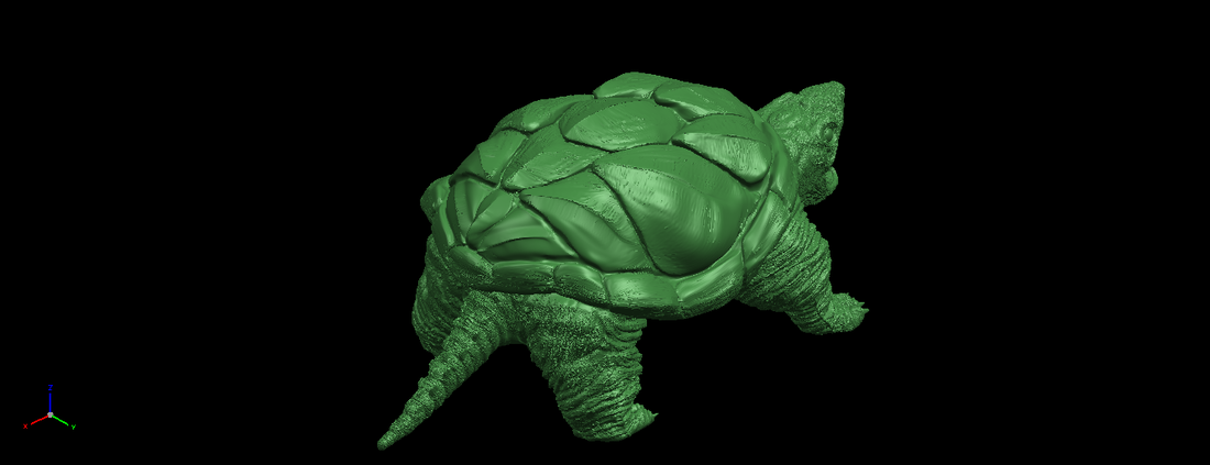 Giant tortoise 3D Print 197377