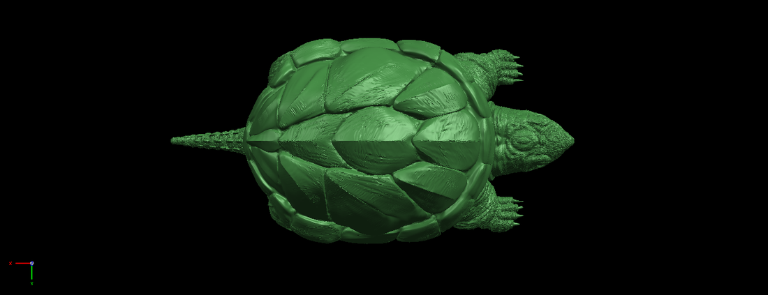 Giant tortoise 3D Print 197378