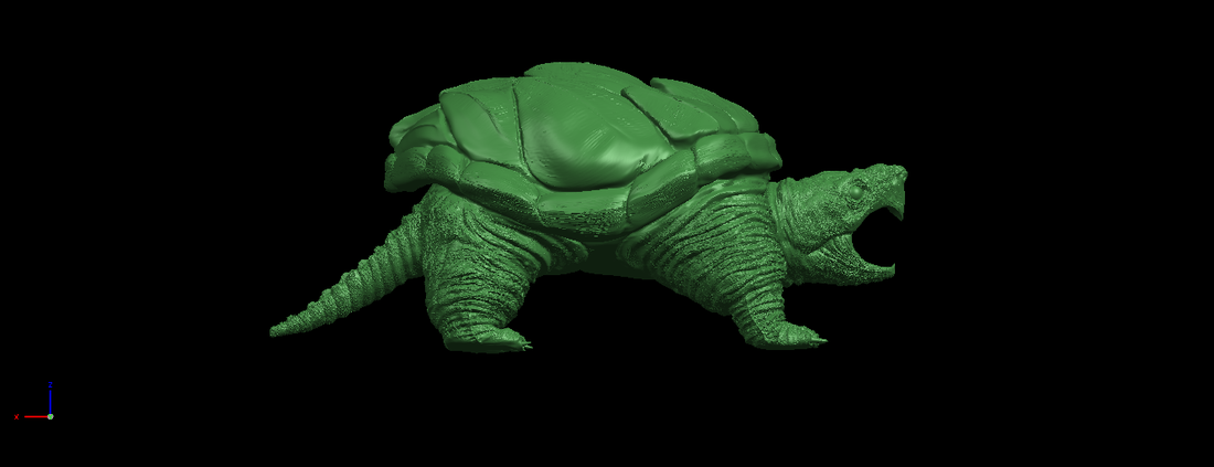 Giant tortoise 3D Print 197379