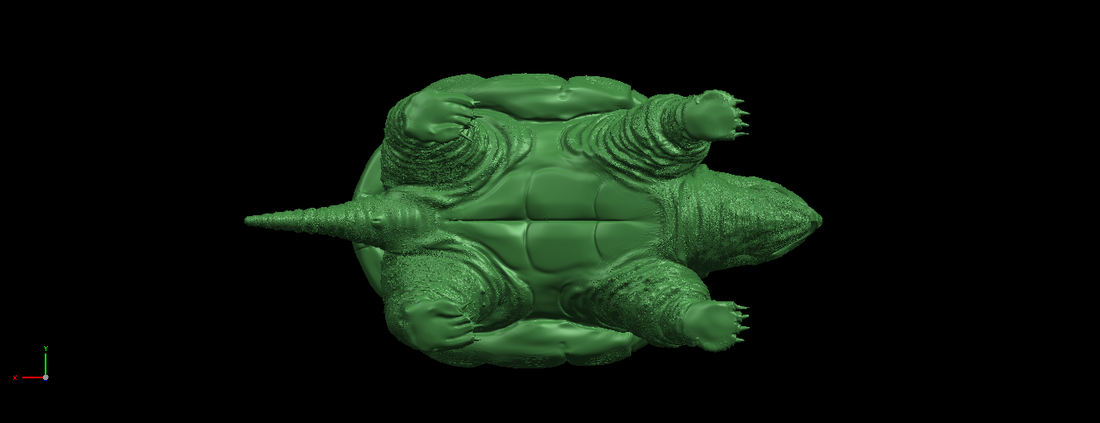 Giant tortoise 3D Print 197380