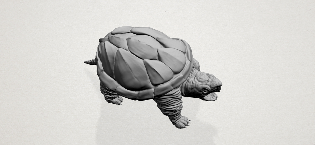 Giant tortoise 3D Print 197382