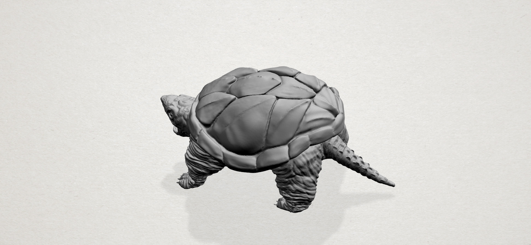 Giant tortoise 3D Print 197384