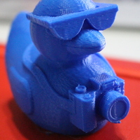 Small Tourist Duck 3D Printing 19756