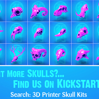 Boneheads: Raven - Skull Kit - PROMO - 3DKitbash.com - Thumbnail 2