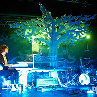 Small Imogen Heap 2010 tour tree 3D Printing 20616