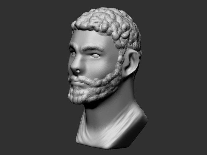 Roman Bust 3D Print 208079 Roman Bust 3D Print 208079