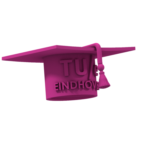 TU/EINDHOVEN CITY GIFT 3D Print 210513