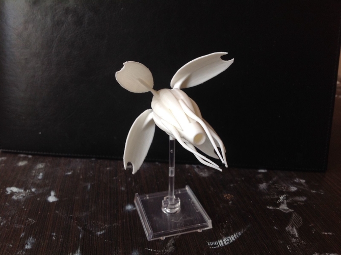 Babylon 5 Vorlon fighter 3D Print 211726 Babylon 5 Vorlon fighter 3D Print 211726