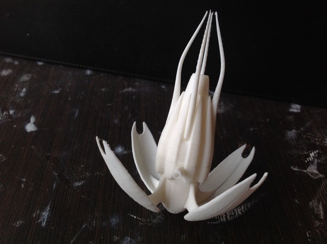 Babylon 5 Vorlon fighter 3D Print 211728 Babylon 5 Vorlon fighter 3D Print 211728