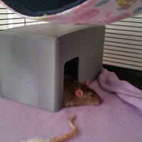 Small Small Animal House (rats/mice/hamster) 3D Printing 21225