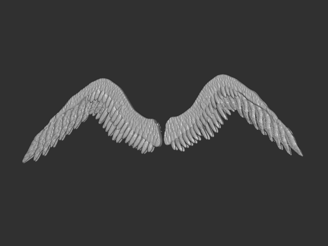 Wings 3D Print 212468 Wings 3D Print 212468