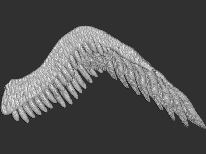 Wings 3D Print 212469 Wings 3D Print 212469