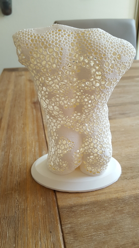 Male torso voronoi style 3D Print 216286 Male torso voronoi style 3D Print 216286